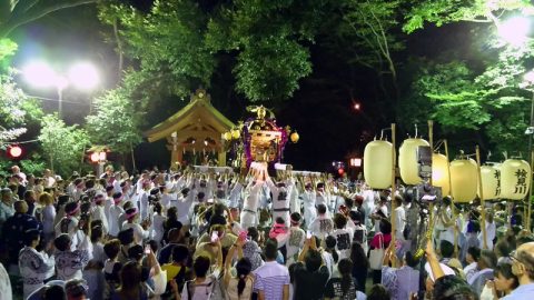 例祭神幸祭、祭禮ほおづき市